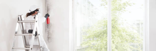Best Mold Remediation for Healthcare Facilities  in Elkridge, MD