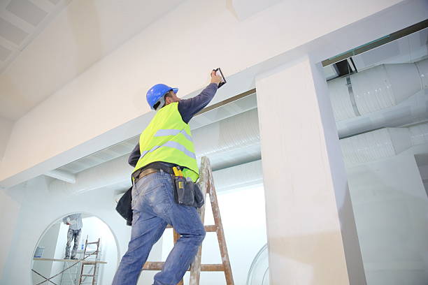 Best Emergency Mold Remediation  in Elkridge, MD