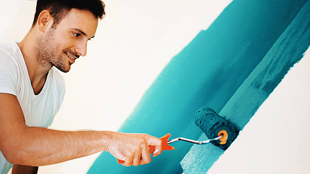 Best Black Mold Removal  in Elkridge, MD