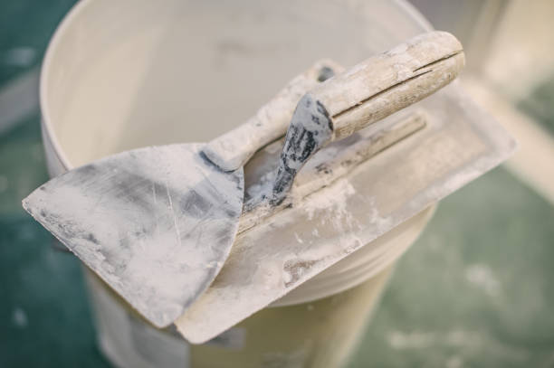 Best Mold Documentation for Insurance Claims  in Elkridge, MD